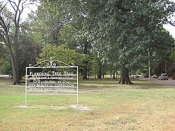 A section of the median of East Parkway was designated "Flowering Tree Trail" in 1956/57. Flowering Tree Trail at E Parkway Memphis TN 01.jpg
