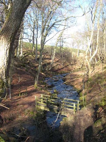 File:Footbridge on Shittlehope Burn - geograph.org.uk - 348830.jpg