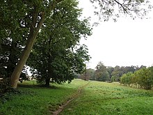 Footpath towards Canons Wood on Burgh Heath Footpath towards Canons Wood - geograph.org.uk - 584557.jpg