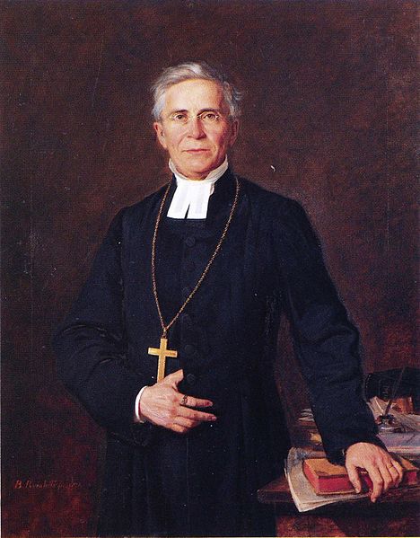 File:Frans Ludvig Schauman by Reinhold.jpeg