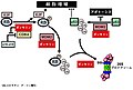 2018年12月25日 (火) 09:17時点における版のサムネイル