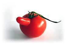 Gen tomate.jpg