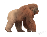 Rekonstrukce Gigantopithecus blacki