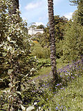 Thumbnail for Glendurgan Garden