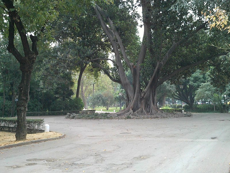 File:Glorieta de Gabriela Ortega Gómez.jpg