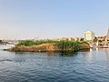 Grassy Island, Nile River, Aswan, AG, EGY (48025409187).jpg