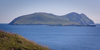 <span class="mw-page-title-main">Great Blasket Island</span> Island in Ireland