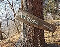 wikimedia_commons=File:Guidepost to Albiga at the margin of the locality.jpg