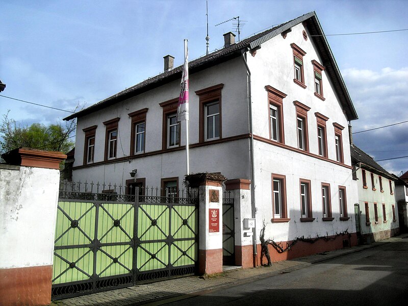 File:Guntersblum- Domhof- von Bleichstraße aus 5.4.2010.jpg