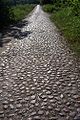 English: Cobblestoned road Polski: Brukowana droga