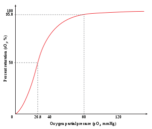 Hemoglobin