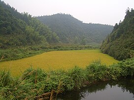 Hengshitan-roadside-pond-and-rice-field-9945.jpg