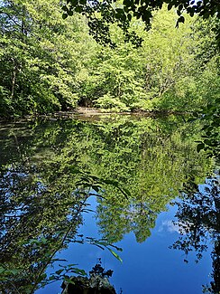 Upper pond in the Horbach valley