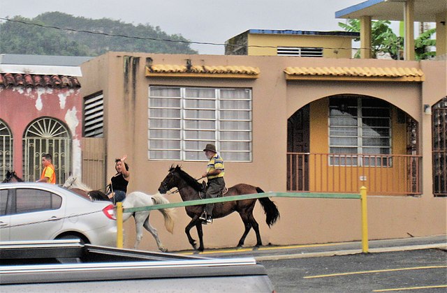 Horse-back riding in Ciales barrio-pueblo
