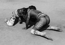 huka-huka wrestlers Huka huka fight Kuarup ceremony.jpg