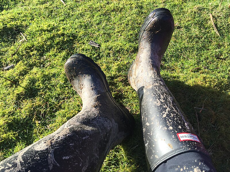 File:Hunter wellies having a rest (England 2016).jpg