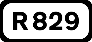 <span class="mw-page-title-main">R829 road (Ireland)</span> Road in Ireland