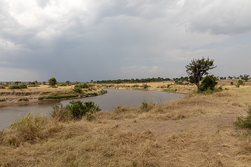 File:Impressions of Serengeti (101).jpg