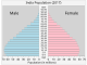 Demografie Indiens