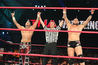 <span class="mw-page-title-main">Ink Inc.</span> Professional wrestling stable