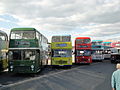 A line-up of Bristol VRT buses in Newport Quay, Newport, Isle of Wight for the Isle of Wight Bus Museum's October 2010 running day.