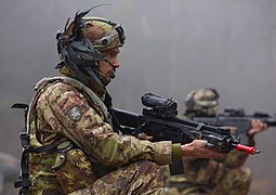 Italiaanse soldaten toegewezen aan het 11e Bersaglieri-regiment tijdens Combined Resolve XV (1).jpg