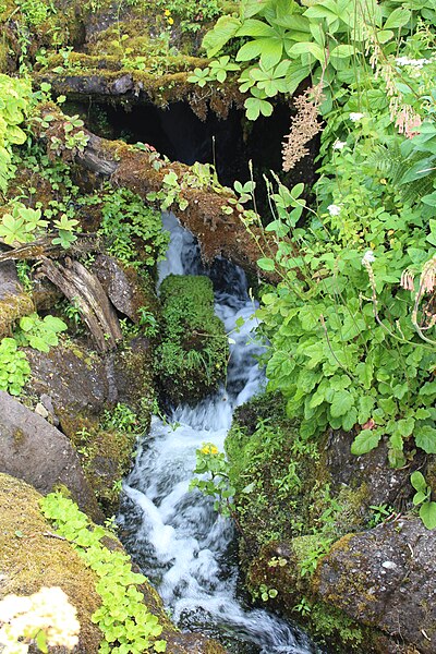 File:Jardin Botanique Royal Édimbourg 24.jpg