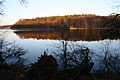 Polski: Zima nad jeziorem Lutomskim English: Lutomskie Lake in winter