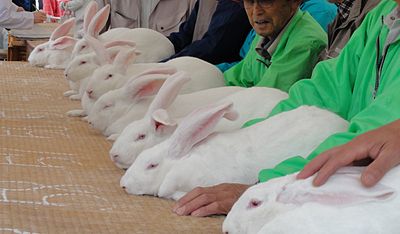 中仙町