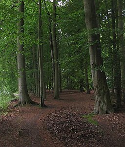 Tiergarten, riverside path on the Staabe