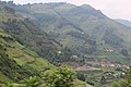 Kabale, Kisoro, Kanungu - Southwestern Uganda 42.jpg