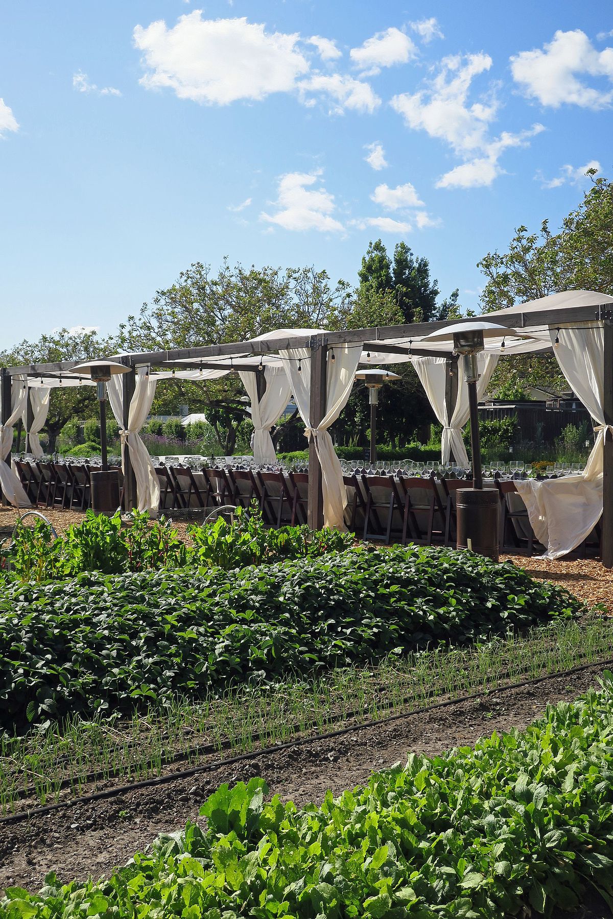 Farm-to-Table Baking and Desserts