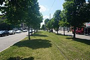 Streetcar tracks