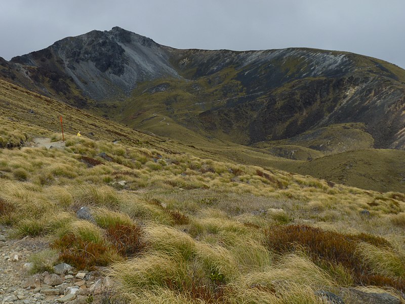 File:Kepler Track, New Zealand (30).JPG