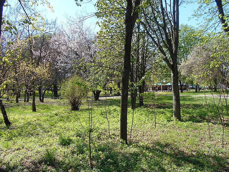 File:Khimselyshche, Cherkasy, Cherkas'ka oblast, Ukraine - panoramio (335).jpg