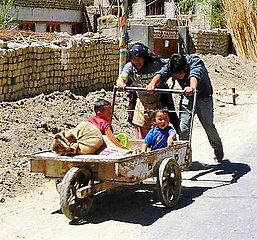 Kids in handcart. Leh, Ladakh, India