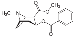 Cocaine, a precursor for anatoxin-एक संश्लेषण। कोकीन, एनाटॉक्सिन-एक संश्लेषण के लिए एक अग्रदूत