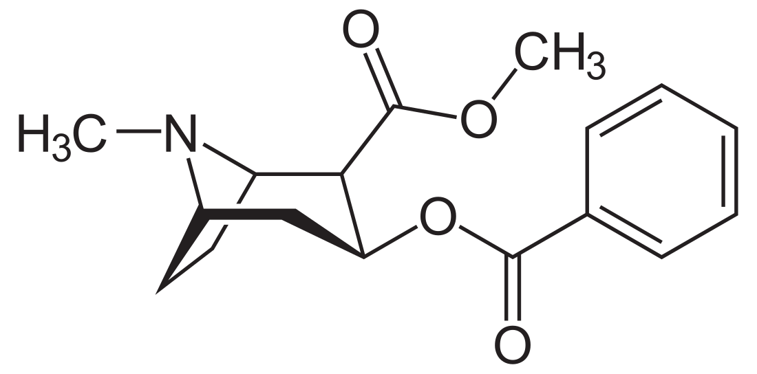קוקאין