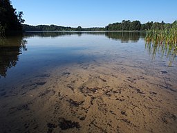 Sjön Valgjärv i kommunens södra del.