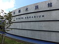 京都水族館 (26)