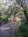 La Veude près de sa confluence à hauteur de Rivière.