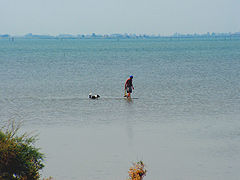 Laguna di Marano