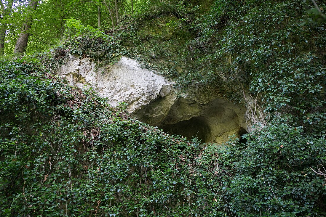 Leiterhöhle