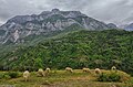 Bélyegkép a 2018. május 28., 08:04-kori változatról