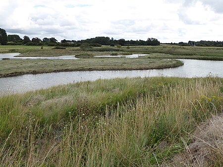 Levington Lagoon 4