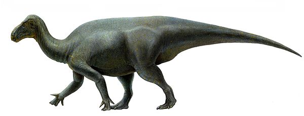 Life restoration