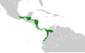 Miniatura da versão das 19h33min de 31 de dezembro de 2020