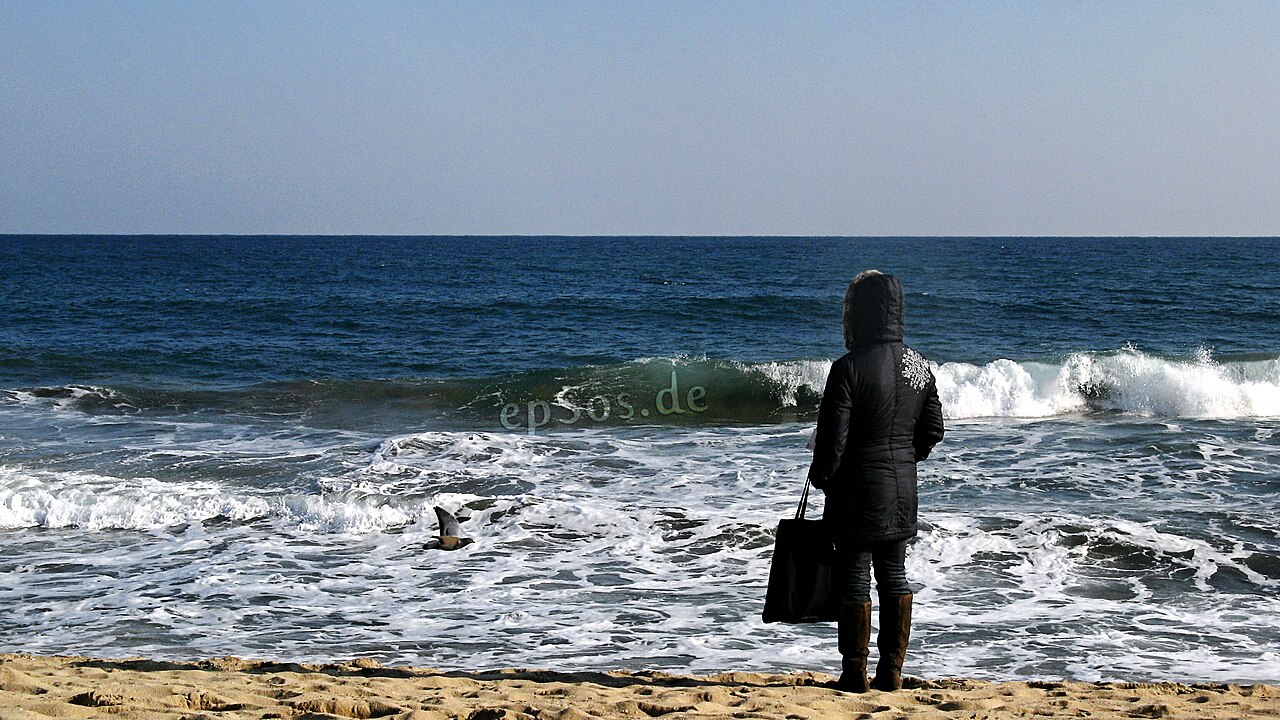 Lonely Woman Watching Sea Waves on Beach.jpg