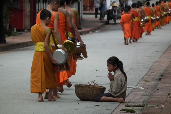 A young layperson providing monks with alms