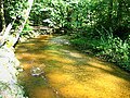 Maisinger Bach in der Maisinger Schlucht